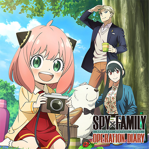 通常版（ダウンロード版）