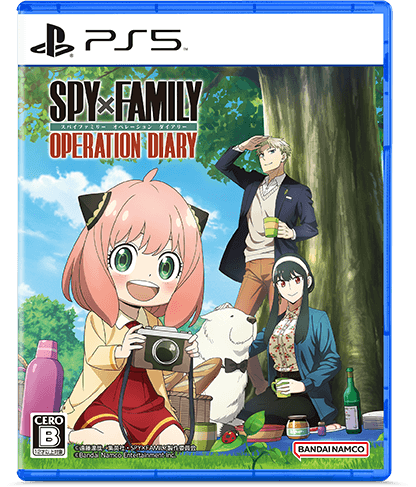 通常版（パッケージ版）